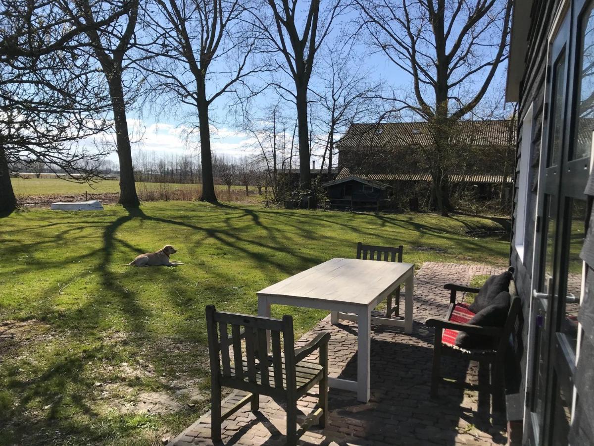 Ijsselmeer Lake Houses Andijk Dış mekan fotoğraf