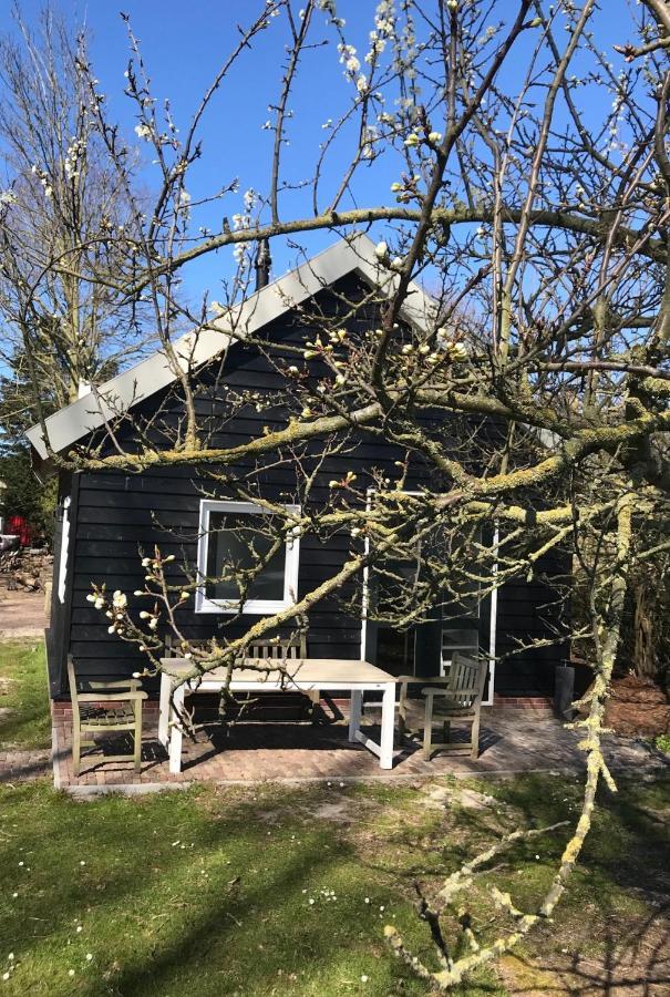 Ijsselmeer Lake Houses Andijk Dış mekan fotoğraf