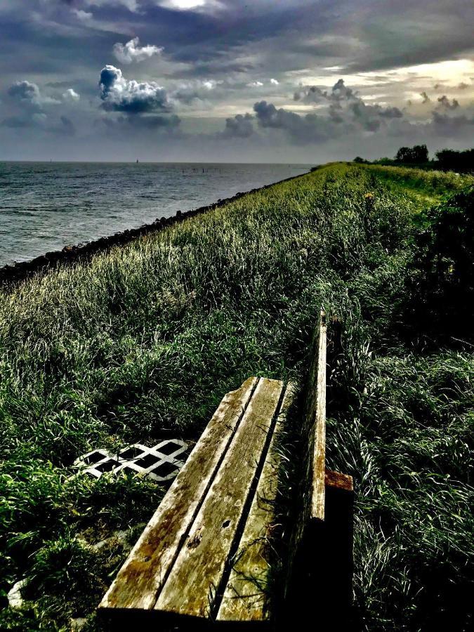 Ijsselmeer Lake Houses Andijk Dış mekan fotoğraf