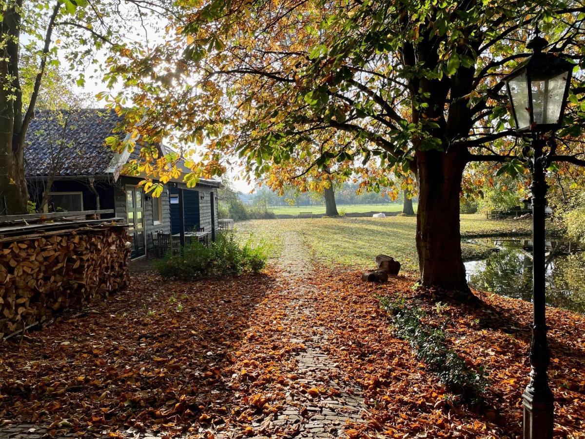 Ijsselmeer Lake Houses Andijk Dış mekan fotoğraf
